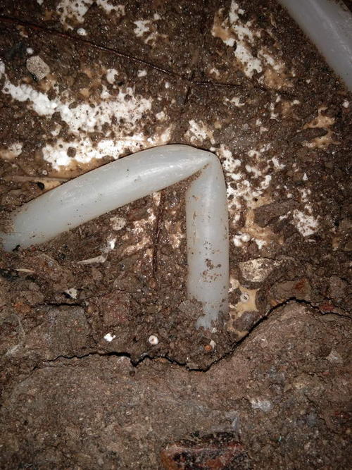 林口堵点精准查找